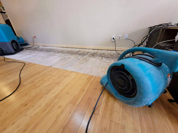 Professional Structural Drying technician working in Ray, OH